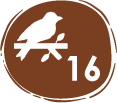 especies de aves endémicas – 