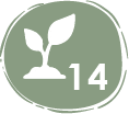 especies endémicas de flora – 