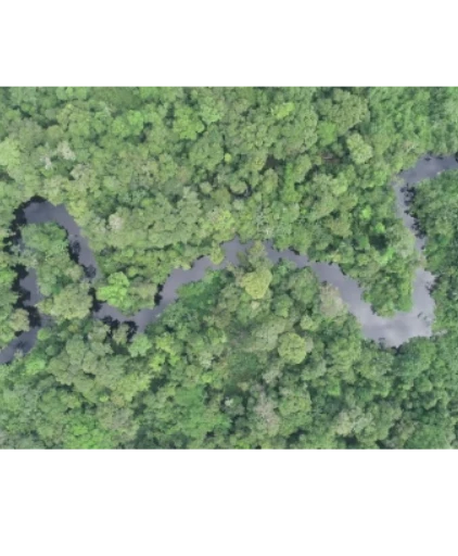 Bosques que inspiran otros bosques: un intercambio que fortalece el ecoturismo para conservar la Amazonía en San Martín